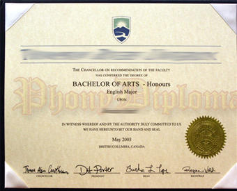 International Fake Diploma With Embossed Gold Foil Seal In Padded Folder